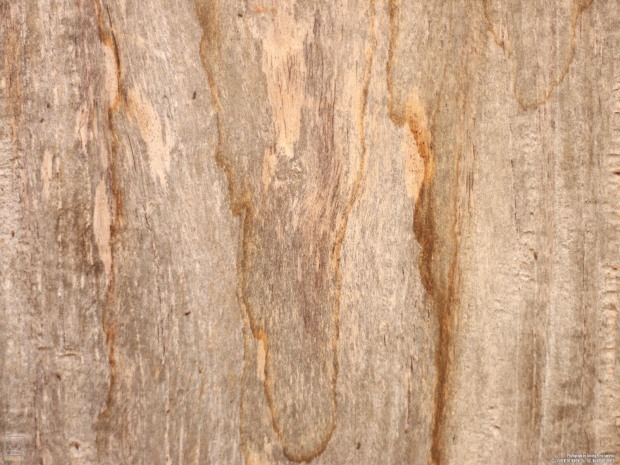download wallpaper kayu